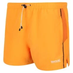 Regatta Pantalones Cortos Rehere Para Hombre Naranja Llama, Zorro 9 Regatta Pantalones Cortos Rehere Para Hombre Naranja Llama, Zorro -Outdoor Tienda pantalones cortos rehere para hombre naranja llama zorro 3